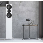 Напольная акустика Acoustic Energy AE509 Напольная акустика Acoustic Energy AE509
