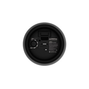 Bose DesignMax DM5P Black