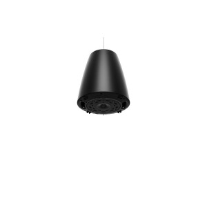 Bose DesignMax DM5P Black