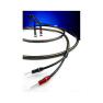 Chord EpicX speaker cable 2.5M Chord EpicX speaker cable 2.5M