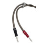Chord EpicXL speaker cable 2M