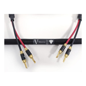 Purist Audio Design Venustas Speaker 2M