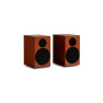 Tone Speaker S