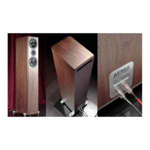 Акустика Acoustic Energy AE509 Walnut