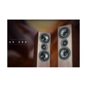 Акустика Acoustic Energy AE509 Walnut