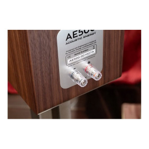Акустика Acoustic Energy AE509 Walnut