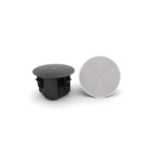 Bose DesignMax DM6C