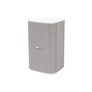 Bose DesignMax DM8S Bose DesignMax DM8S