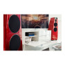 Meridian 210 Streamer Meridian 210 Streamer