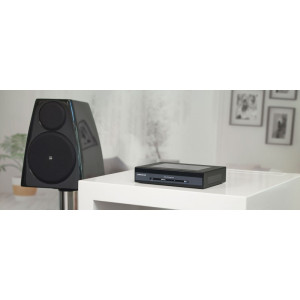 Meridian 210 Streamer Meridian 210 Streamer