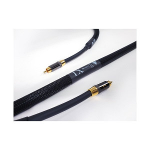 Purist Audio Design Musaeus RCA 1M