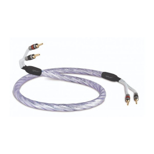 QED Genesis Silver Spiral 2.5M