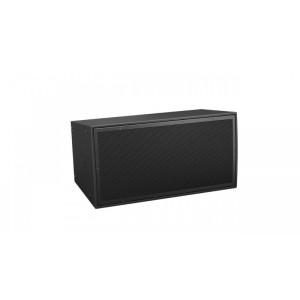 Bose ArenaMatch AM10/60
