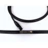 Purist Audio Design Dominus XLR 1M