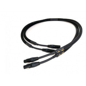 Purist Audio Design Dominus XLR 1M