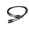 Purist Audio Design Dominus XLR 1M