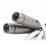 Supra XL Annorum Interconnect XLR 2M Supra XL Annorum Interconnect XLR 2M
