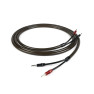 Chord EpicX speaker cable 3M
