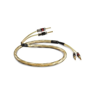 QED Golden Anniversary XT 3M