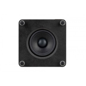 Ruark Audio RS1 subwoofer