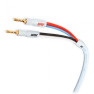 Supra Quadrax 2X4.0 COMBICON 4M