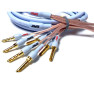 Supra XL Annorum BI-WIRE CombiCon 2.5M