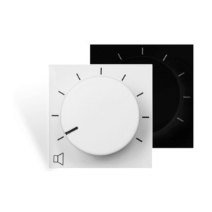 Audac VC3036