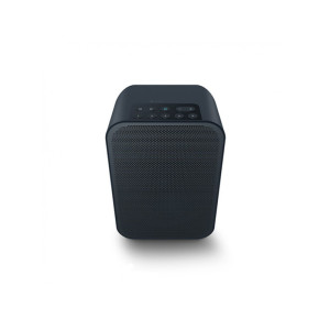 Бездротова акустика Bluesound PULSE FLEX 2i Бездротова акустика Bluesound PULSE FLEX 2i