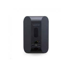 Бездротова акустика Bluesound PULSE FLEX 2i Бездротова акустика Bluesound PULSE FLEX 2i