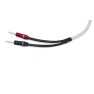 Chord C-screenX speaker cable 3M