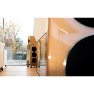 Meridian DSP8000SE Meridian DSP8000SE