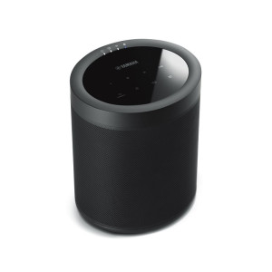 Yamaha MusicCast 20 (WX-021)