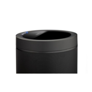 Yamaha MusicCast 20 (WX-021) Yamaha MusicCast 20 (WX-021)