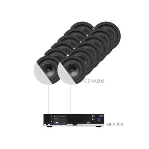 Audac CENTO5.12 (12 x CENA506 + MFA208)
