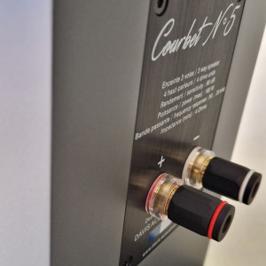 Davis Acoustics Courbet 5 Davis Acoustics Courbet 5