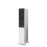 Напольная акустика KEF R5 Напольная акустика KEF R5