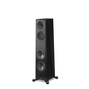 Paradigm Founder 80F