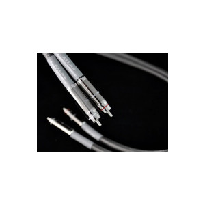 Atlas Ascent Symmetrical (2RCA-2RCA) 2 м