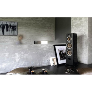 Focal Aria Evo X N°4
