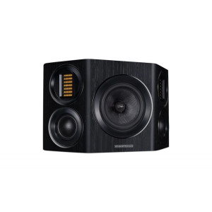 Wharfedale EVO4.S