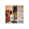 Acoustic Energy AE100² Walnut