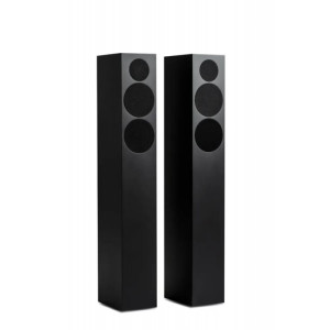Tone Speaker L Tone Speaker L