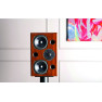 Акустическая система Acoustic Energy AE2 40th Anniversary Edition Walnut Акустическая система Acoustic Energy AE2 40th Anniversary Edition Walnut