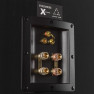 Dynavoice Definition DM-6II Dynavoice Definition DM-6II