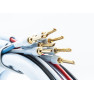 Supra Quadrax 4X2.0 Bi-wire CombiCon 4M