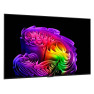 LG OLED55G64LW LG OLED55G64LW